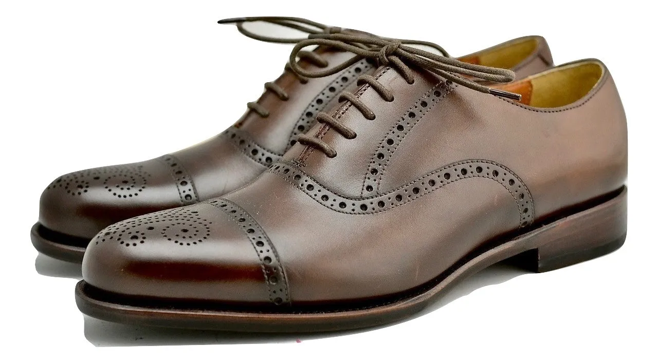 Oxford brogue | dark brown  | box  Calf