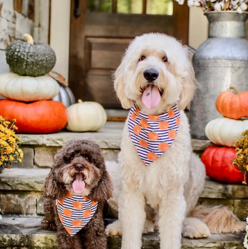 Personalized Halloween Pet Bandanas with Pets Name